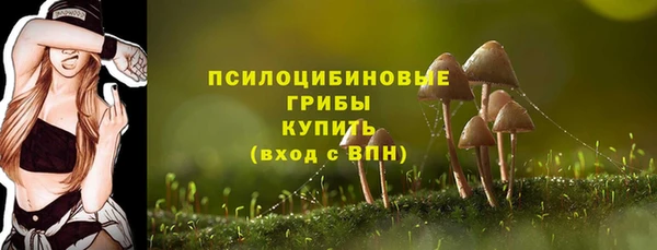 бошки Алексеевка