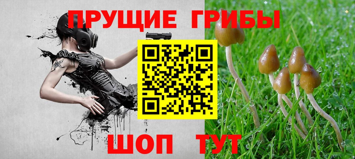 Галлюциногенные грибы Psilocybine cubensis Арсеньев