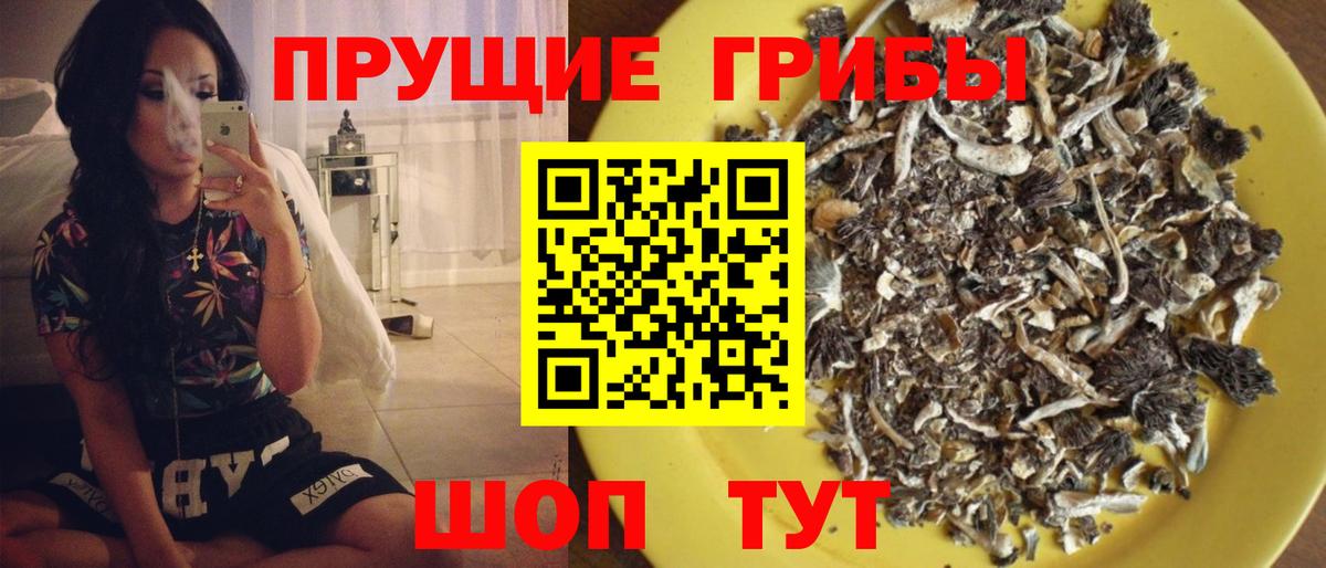 Арсеньев  Псилоцибиновые грибы Psilocybine cubensis  Галлюциногенные грибы Psilocybine cubensis  Вход с VPN 